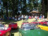 Borst Park Centralia Picnic 2013 040